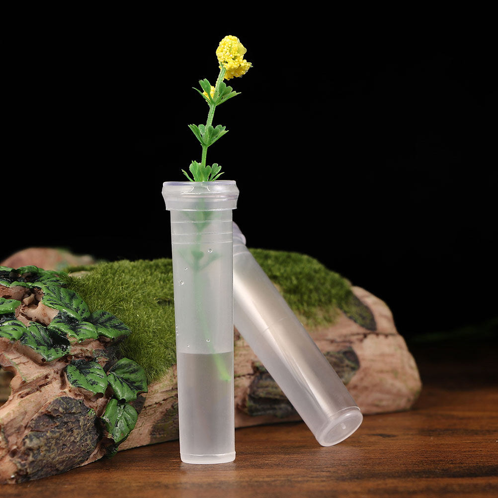 Home Office With Plants - 100Pcs Compact Hydroponic Vase Clear Plant