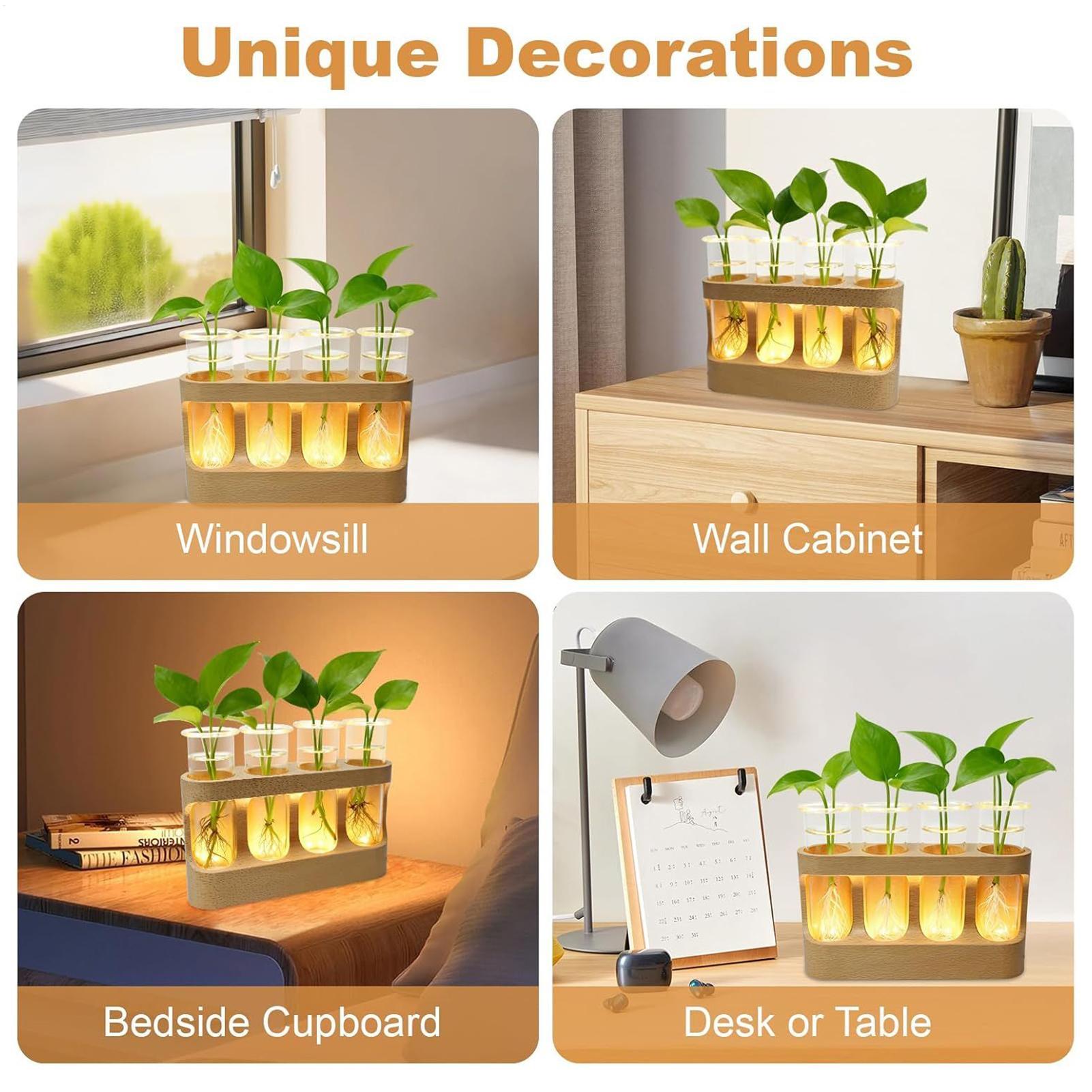 LED Plant Propagation Station  - đánh giá và giá Home Office With Plants