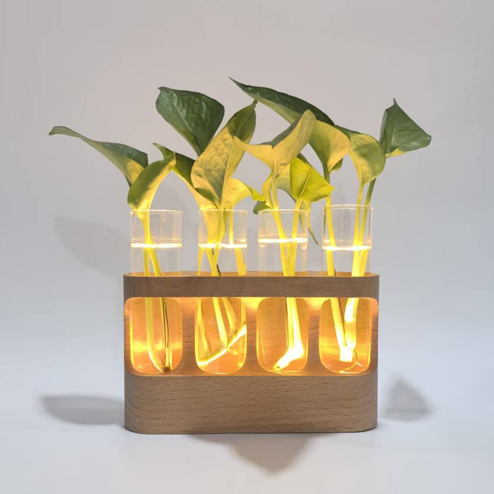 LED Plant Propagation Station  - đánh giá và giá Home Office With Plants