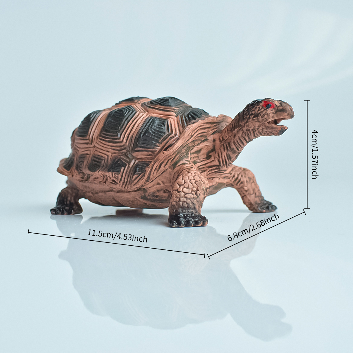 Painted Realistic Animal Turtl - đánh giá và giá Home Office Programmer