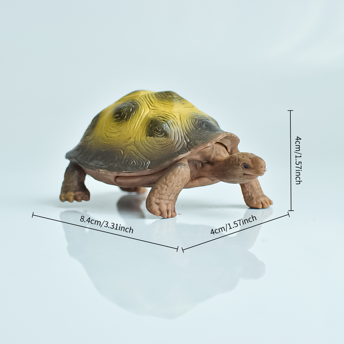 Painted Realistic Animal Turtl - đánh giá và giá Home Office Programmer
