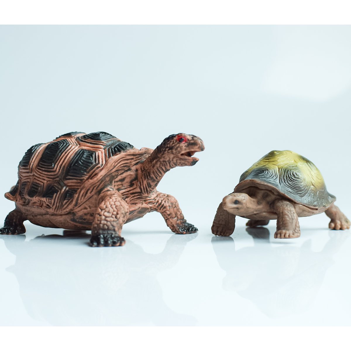 Painted Realistic Animal Turtl - đánh giá và giá Home Office Programmer