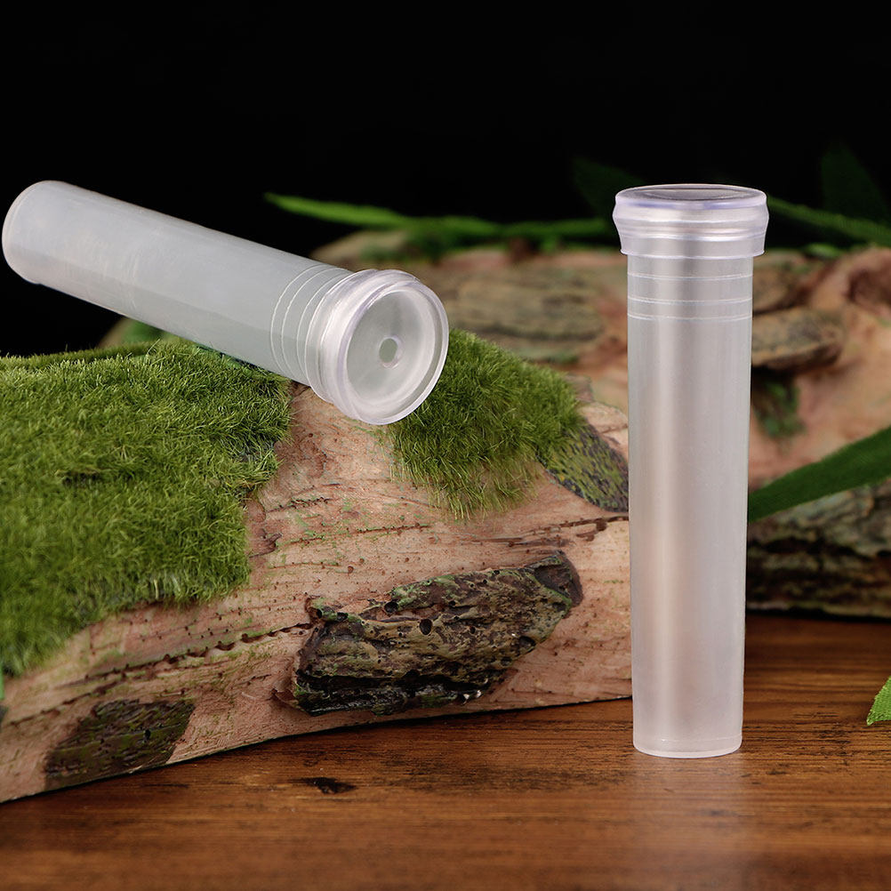 100Pcs Compact Hydroponic Vase - đánh giá và giá Home Office With Plants