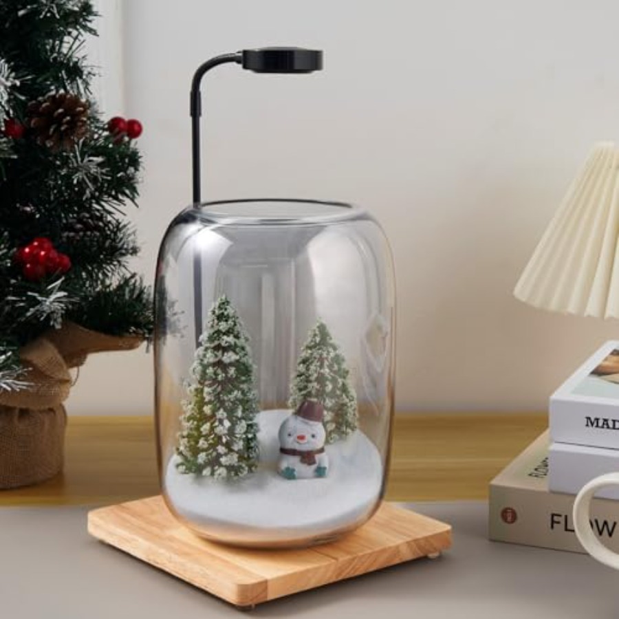 Glass Plant Terrarium Kit for  - đánh giá và giá Home Office With Plants