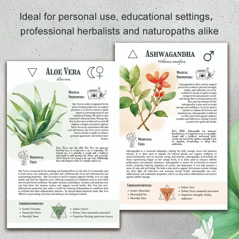 Natural Remedies Handbook with - đánh giá và giá Home Office Laptop