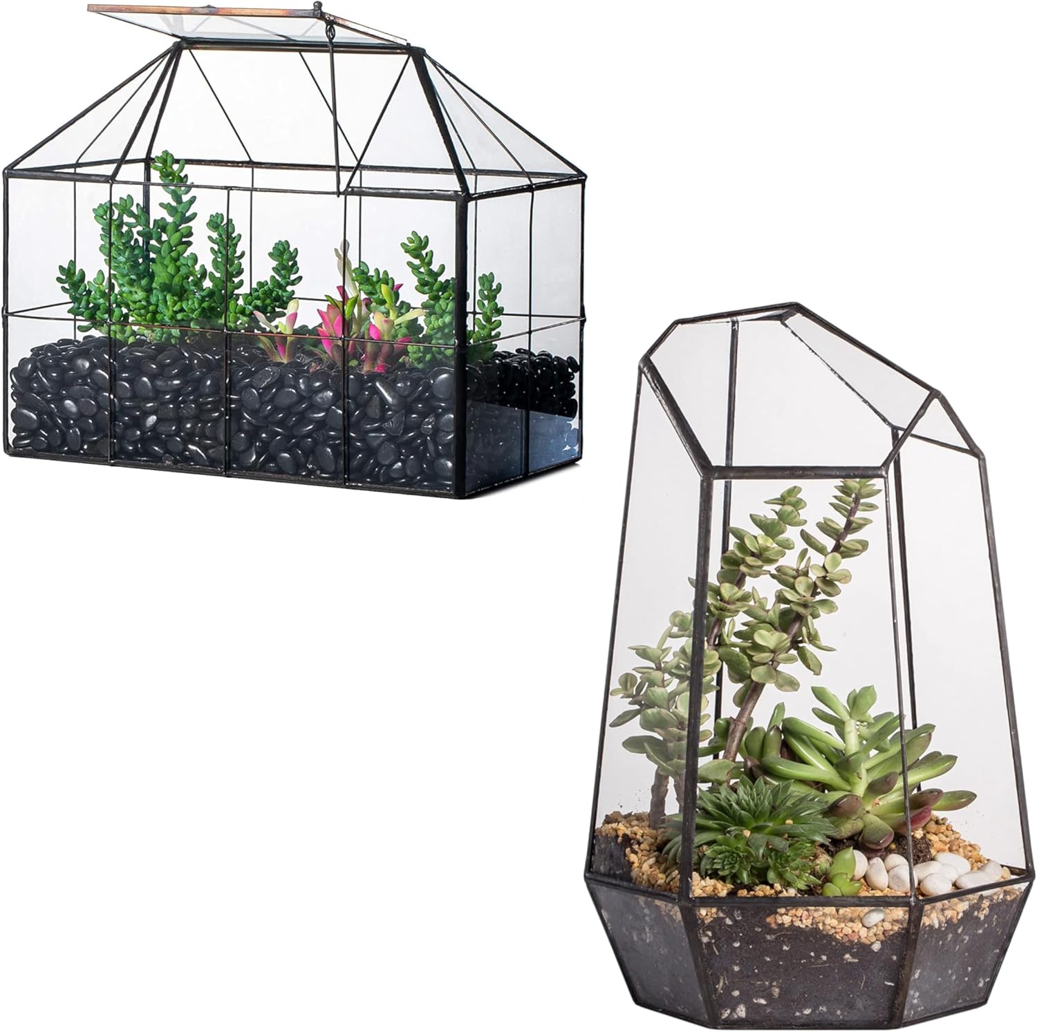 Glass House Terrarium with Lid - đánh giá và giá Home Office With Plants