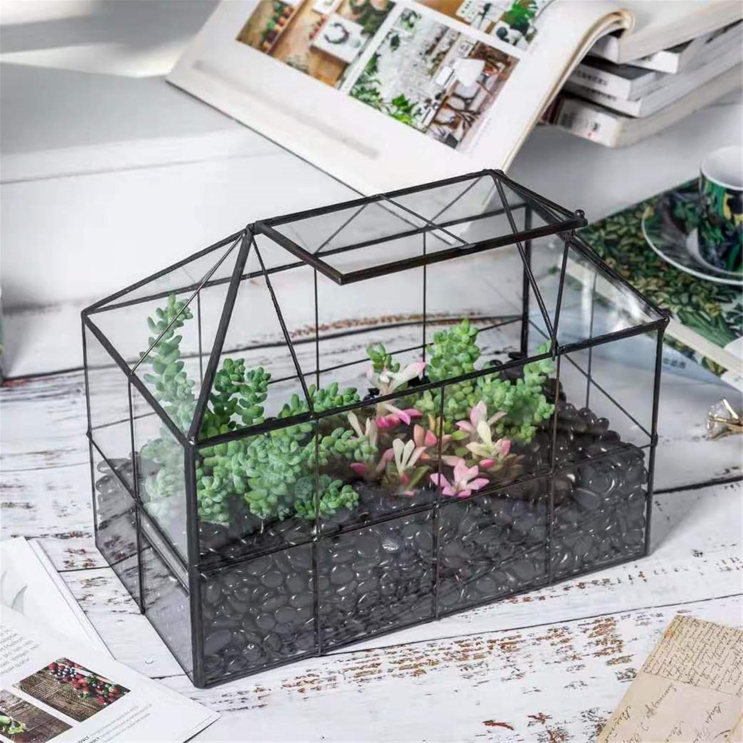 Glass House Terrarium with Lid - đánh giá và giá Home Office With Plants