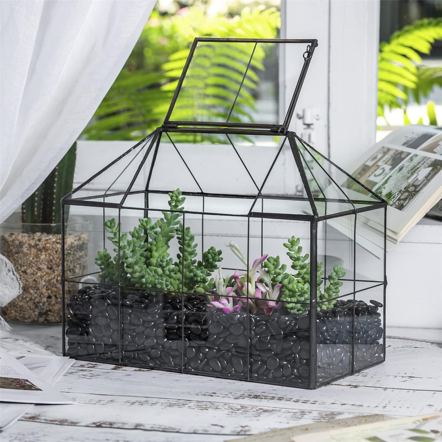 Glass House Terrarium with Lid - đánh giá và giá Home Office With Plants