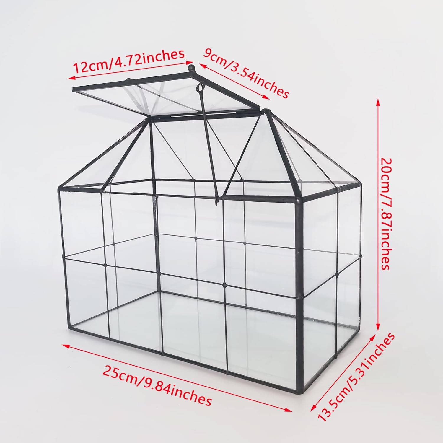 Glass House Terrarium with Lid - đánh giá và giá Home Office With Plants
