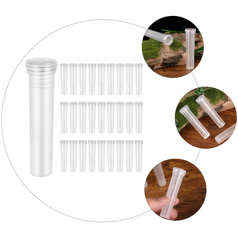 100Pcs Transparent Hydroponic  - đánh giá và giá Home Office With Plants
