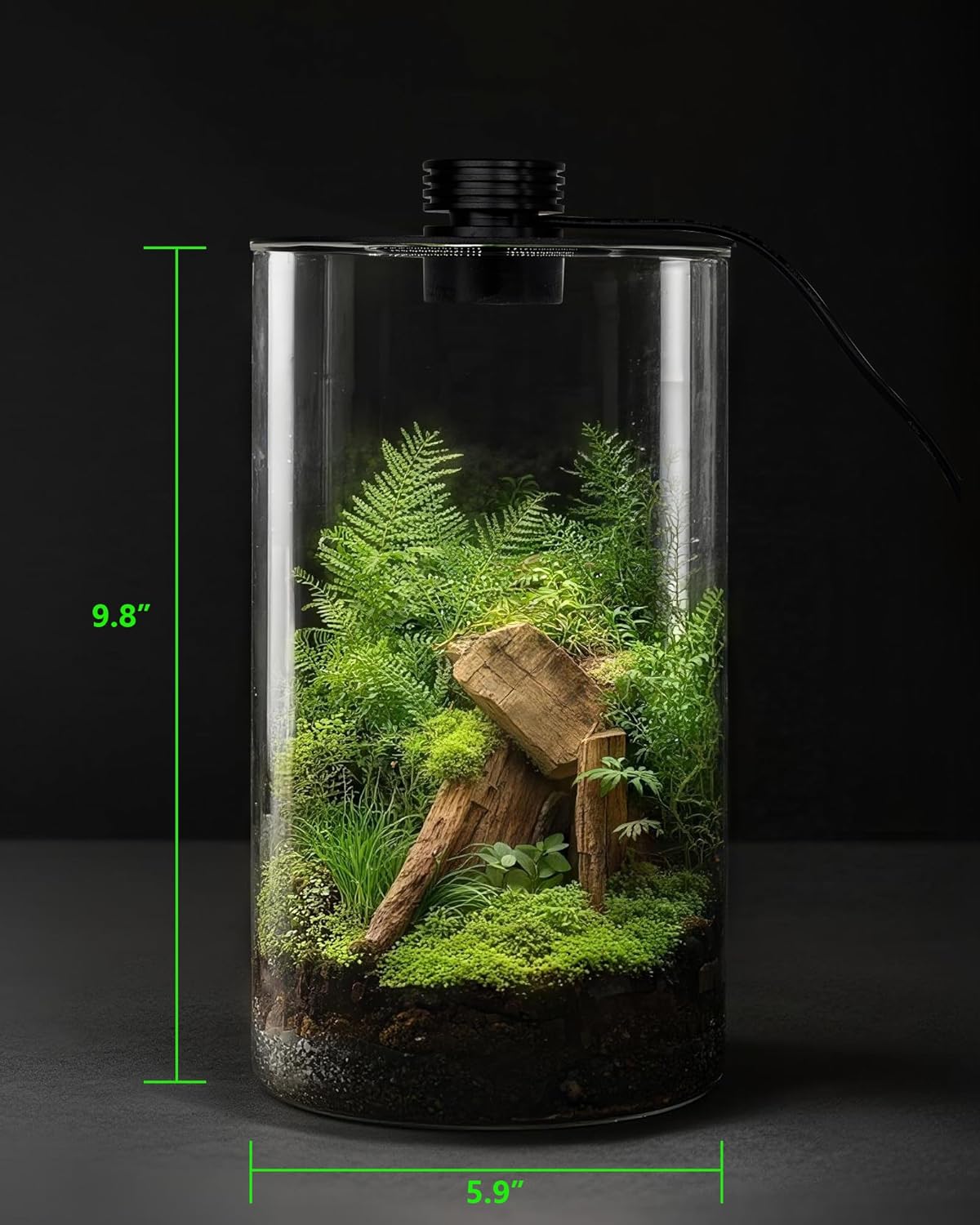 Indoor Glass Terrarium with Gr - đánh giá và giá Home Office With Plants