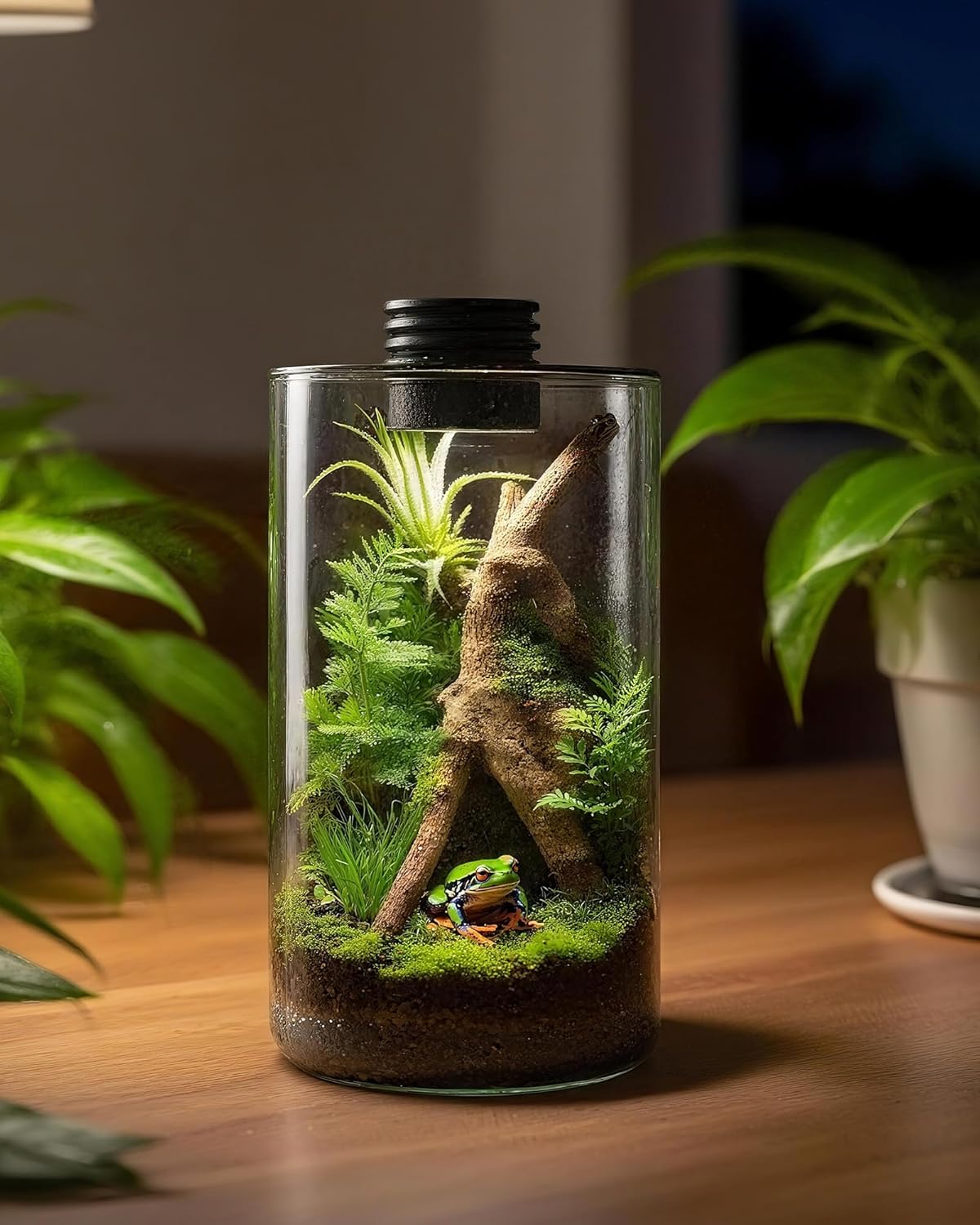 Indoor Glass Terrarium with Gr - đánh giá và giá Home Office With Plants